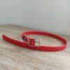 Collier chiens et chiots "Texas"