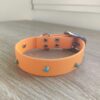 Collier biothane avec rivets