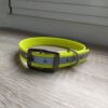 Collier biothane réfléchissant