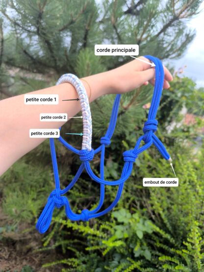 Licol éthologique "Evoé" – Image 4