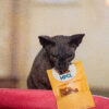 Porc déshydraté pour chats – Image 2
